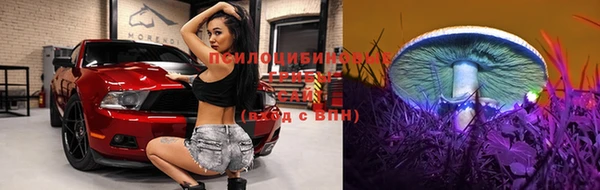 молекула духа Лиски