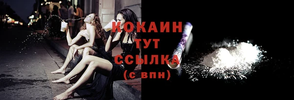твердый Михайловск