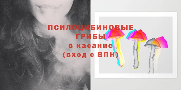 прущая мука Михайлов