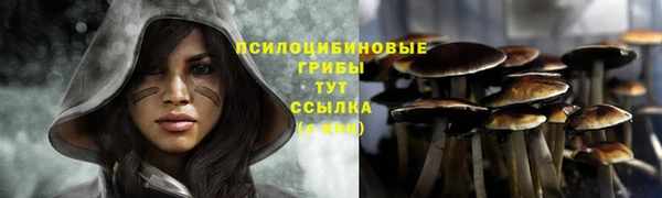 прущая мука Михайлов