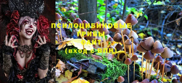 прущая мука Михайлов