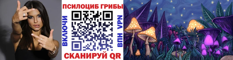 Галлюциногенные грибы мицелий  купить   Елец 