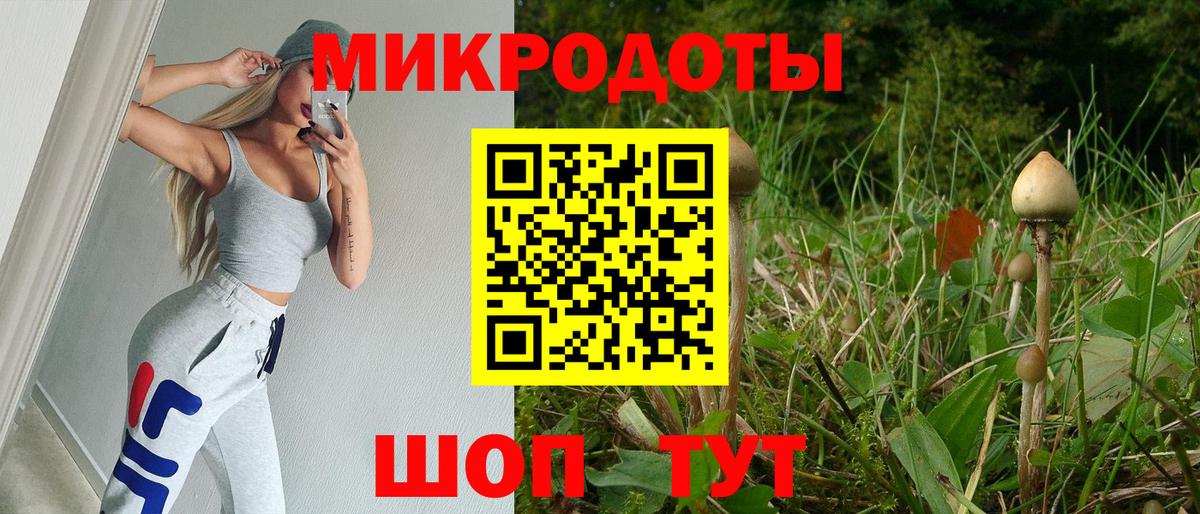 Псилоцибиновые грибы мицелий Елец