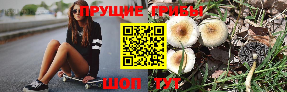 Псилоцибиновые грибы Psilocybe  Галлюциногенные грибы Magic Shrooms  Елец 